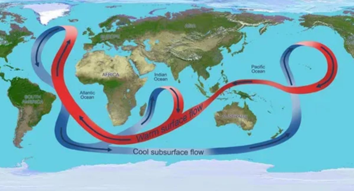 ROLE OF SALT AND DENSITY IN OCEAN CIRCULATION